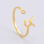 Bague Signe du Zodiaque 12 Constellations